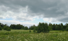1_Природа.png